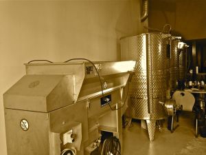 marseillefaitmaison-marseille-fait maison-vin-microcosmos-vignes-chai-vin parcellaire-vinification-provence-roussillon-erafleuse
